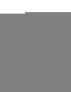 Couteau Fixe Wildsteer Wild Tech4 XL Manche Woodland Camo